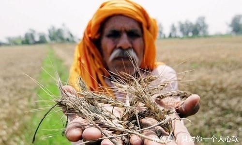 街头|13亿印度人平常吃啥?为什么街头很多人大腹便便,说好的吃不饱呢
