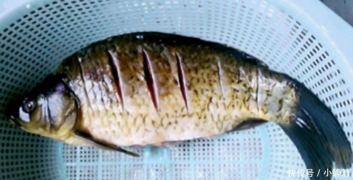 味道|秋季怎能少了喝汤,此汤牛奶一样白,加入此物更鲜美,不可错过