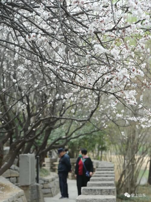 探秘“神秘”园区！号称济南“圆明园”！感受一下……