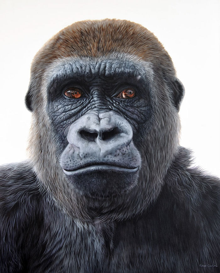 手艺&乍一看是照片！60张“欺骗”眼睛的绘画，有这手艺还要相机干什么