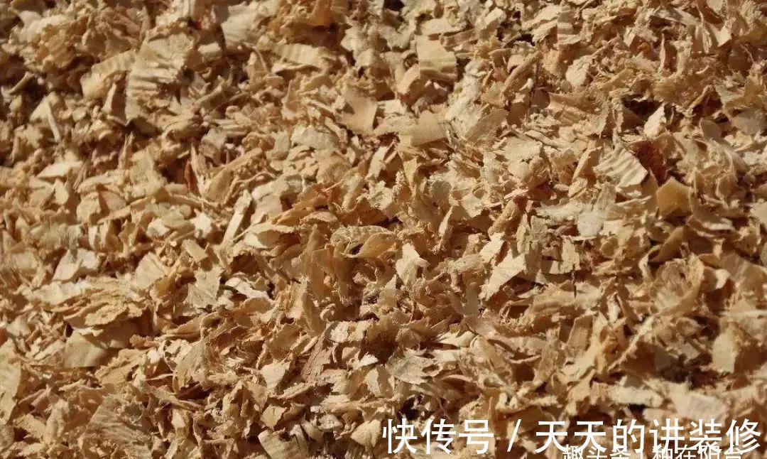 基质|“无土派”养花：善用8种栽培基质，混搭出好用的养花“大土”！