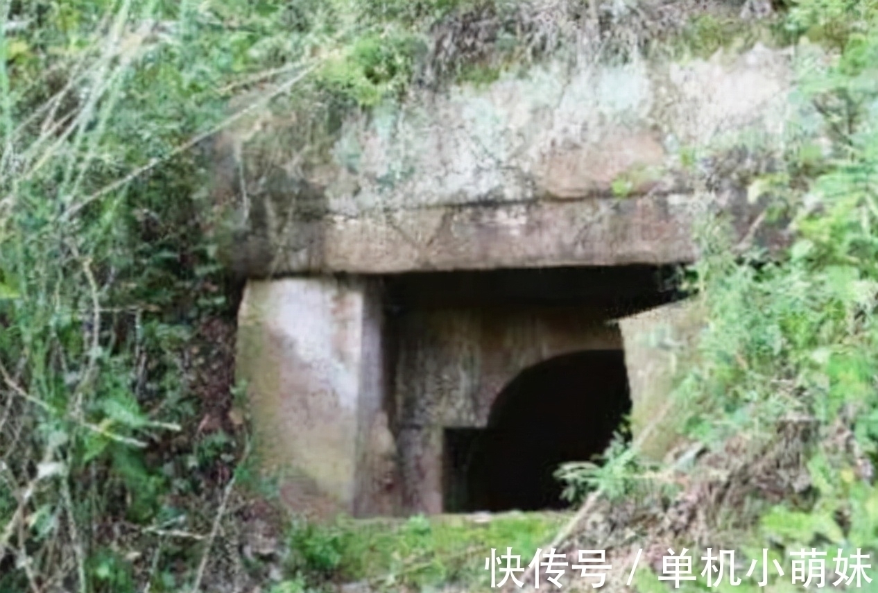 姚玉忠&盗200多个古墓,获利5个亿,被判死刑前他说了一句话,让专家无奈