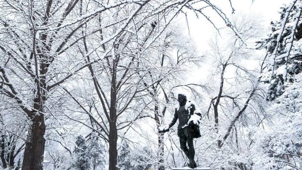  北大与故宫：红楼共飞雪，百年同芳华