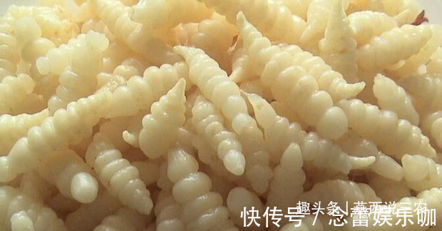 叶子像薄荷,果实像螺狮,药食兼用,最低售价也要15元一斤!