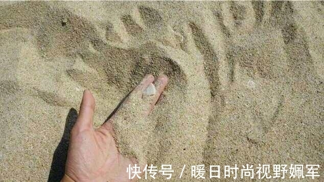 混凝土|沙漠中沙这么多,不可以用作混凝土建材吗?看完算是搞明白了