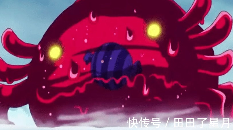 海贼世界|海贼王象主会不会是海贼世界最大生物