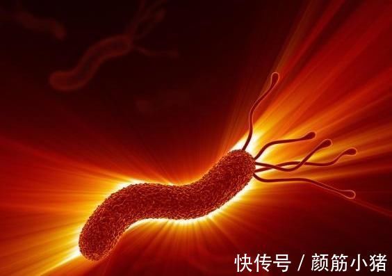 大蒜|幽门杆菌害怕什么?常吃有助于消毒和减轻炎症,胃病会慢慢好转!