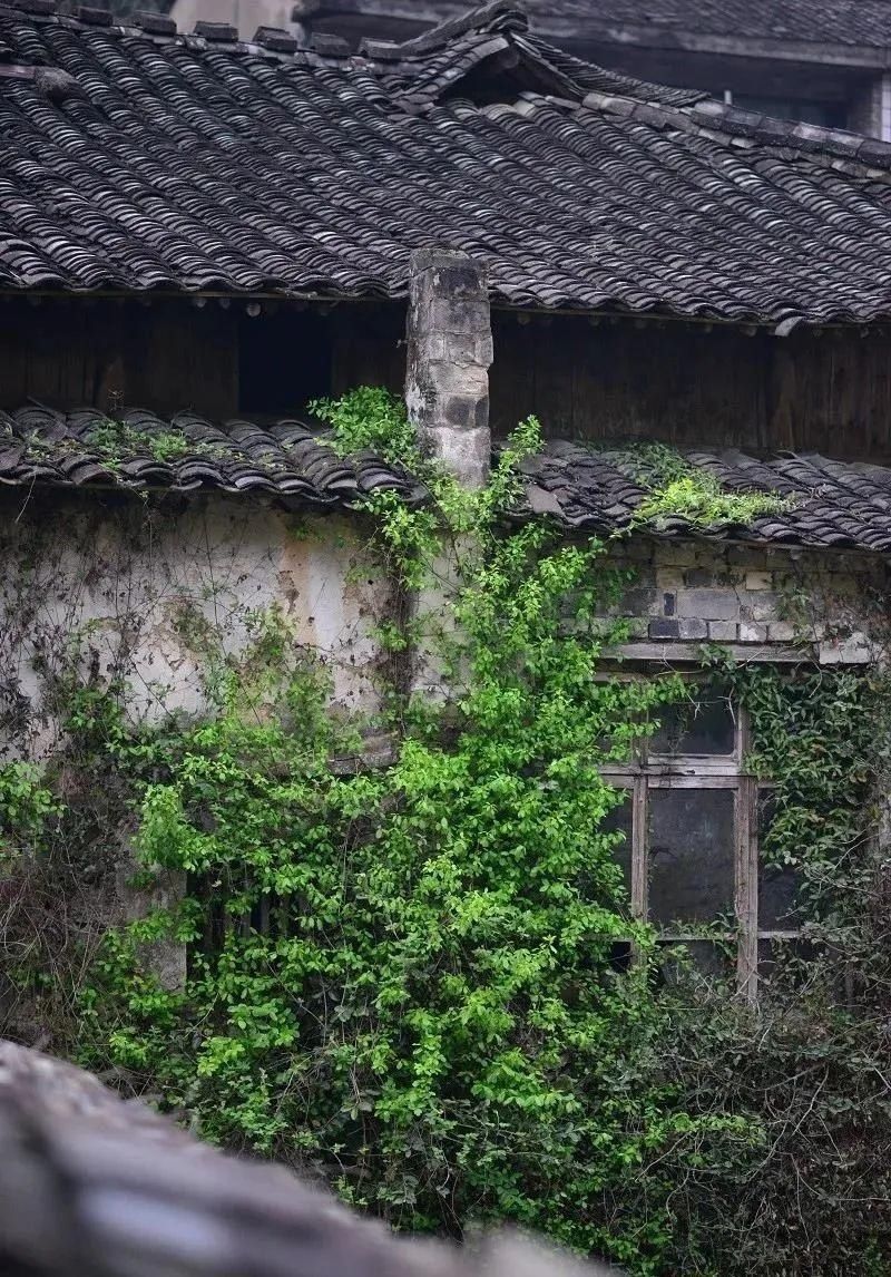 临海竹家山村，带着“隐世”气质的小山村