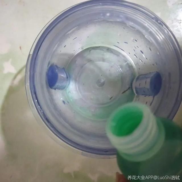 水里|1粒小药片,碾碎丢水里,花像吃了兴奋剂疯长