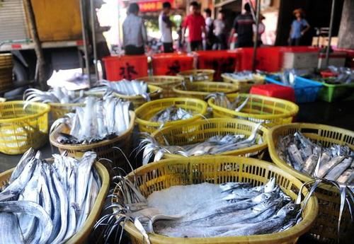  买带鱼时，选8元一袋，还是选18一斤？差别很大，去超市别买错