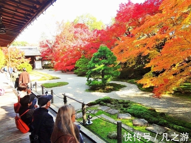 寺院|2021年11月京都红叶观赏信息