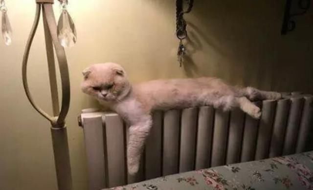  下联|上联：一日为日，二日为昌，三日为晶，下联该如何对？