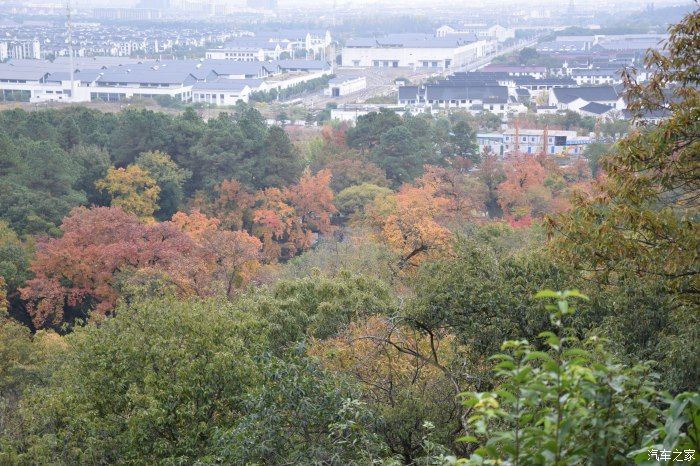 天平山|【喜迎国庆】停车坐爱枫林晚，霜叶红于二月花。游天平山赏枫叶