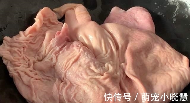 加盐|洗猪肚,加盐洗就错了,如此做,5分钟洗净,猪肚不腥不臊更入味