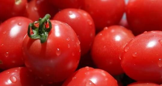 西红柿能延缓衰老,不能和以下东西一起吃,越