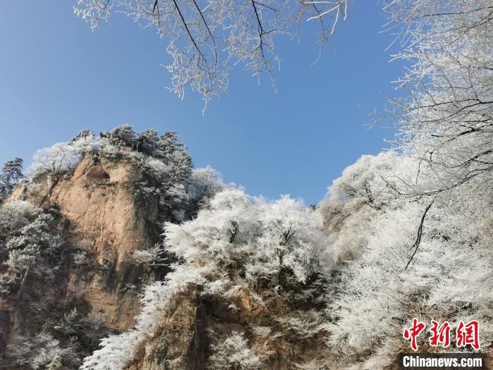 平凉市|甘肃崆峒山雾凇连绵 山脉成白色世界