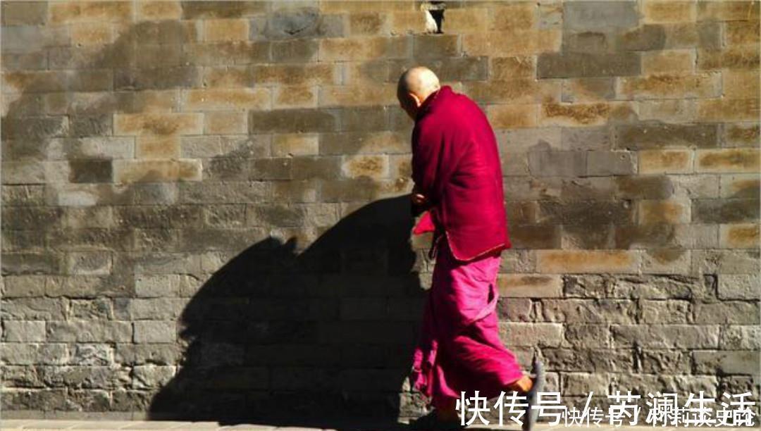 花院&元稹一首很特别的诗,写得生动有趣,读来让人有一种身临其境之感