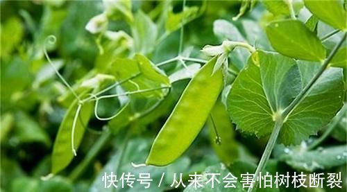 排毒养颜|女性想要皮肤好，建议吃3种食物，美容肌肤补充水分，减少皱纹！