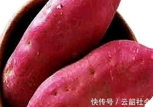 维生素红薯是个“宝”,常吃身体好,但这1个禁忌要清楚,别再吃错