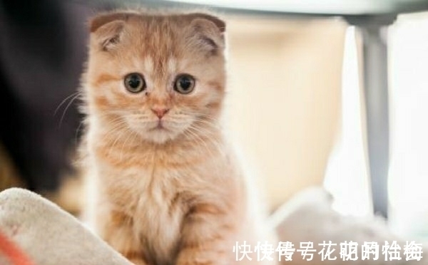 |内涵段子:出差前,在老婆包里放了一个定位仪,又在老王家