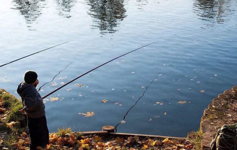 水域|钓大鱼,如何避免小鱼闹窝?五招解决,所有水域通用