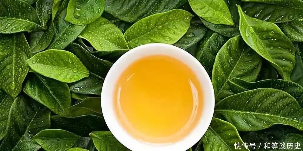 茶叶大数据!颠覆你的认知,喝不喝茶的都看看!