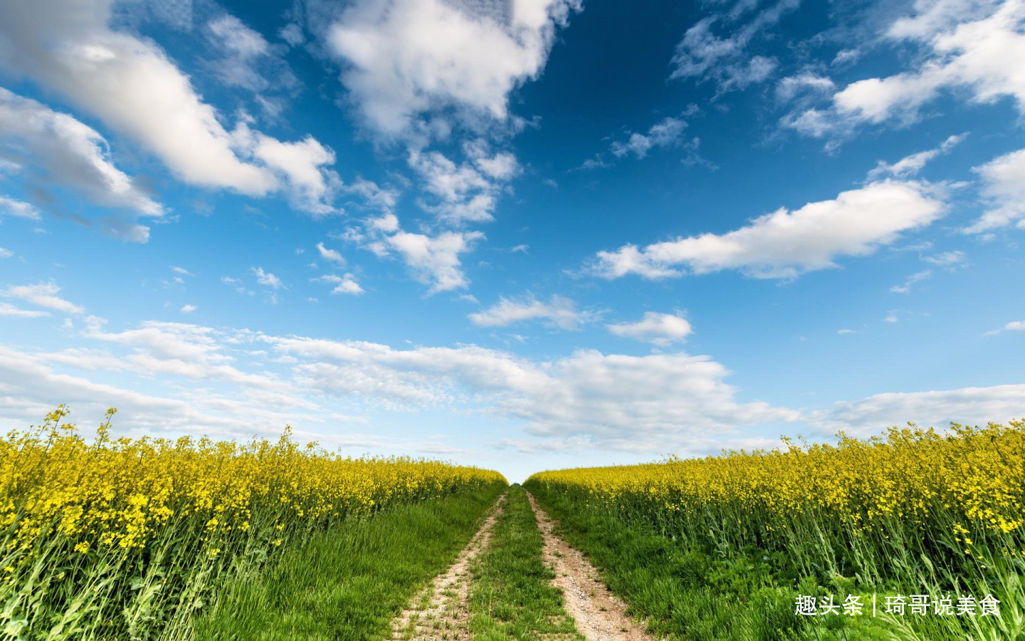 西葫芦|4月宁可不吃肉，也要吃这“4菜2果1豆”，应季而食身体倍儿棒