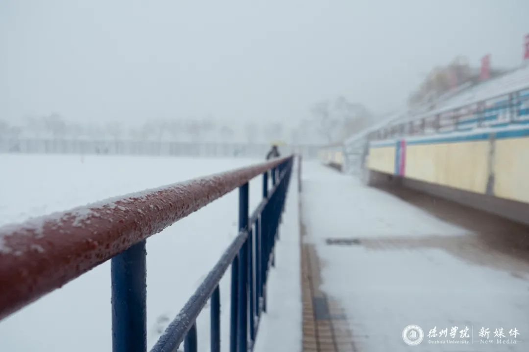 山东交通学院|千里一色！山东高校的“初雪”遇上“立冬”，浪漫绝绝子！