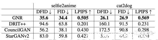解码器|华人打造二次元老婆生成器!尔康容嬷嬷成萌妹,图像视频都能变