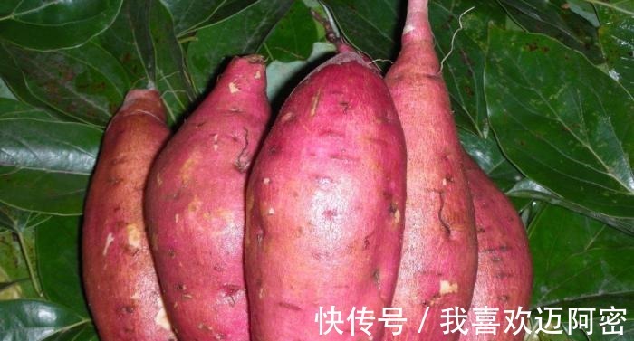 心脏|心脏好的人具有3个“特征”，若你占上一个，你的血管很不错了！