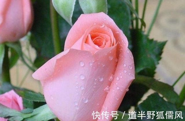 四大生肖|9月开始事业一帆风顺,鸿运当头,人穷志不短的四大生肖