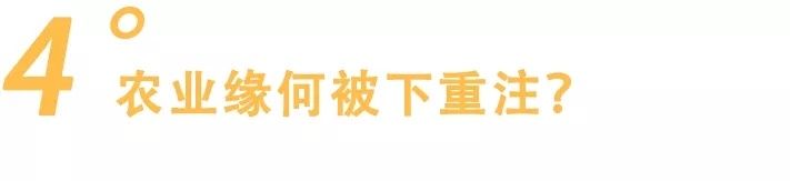 农业|阿里、拼多多、京东都在做的＂农业梦＂，行至中局