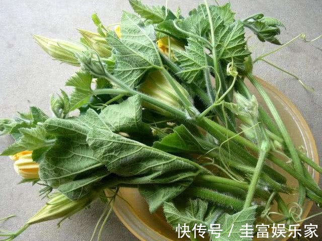 功效|一瓜藤,农村人吃厌了,城里人拼命吃,能治胃痛、去结石、降血压