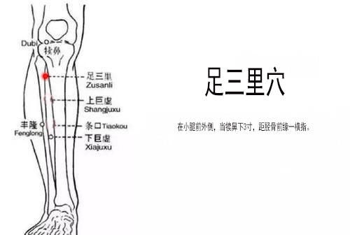 足太阴脾经|人体除湿是哪个穴位最好？