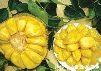 女性|女性容易衰老，多吃此果，促进血液循环，皮肤细腻光滑，显年轻