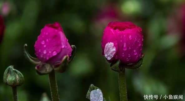 他是隋唐第五条好汉,却死在一匹马的尾巴上,最后秦琼替他报仇!
