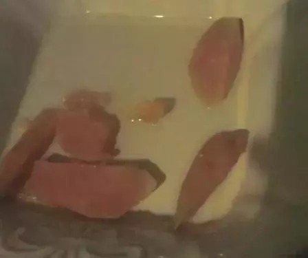 雾化|自制鲤鱼饵料简单天然,钓大鱼一绝,配方公开!