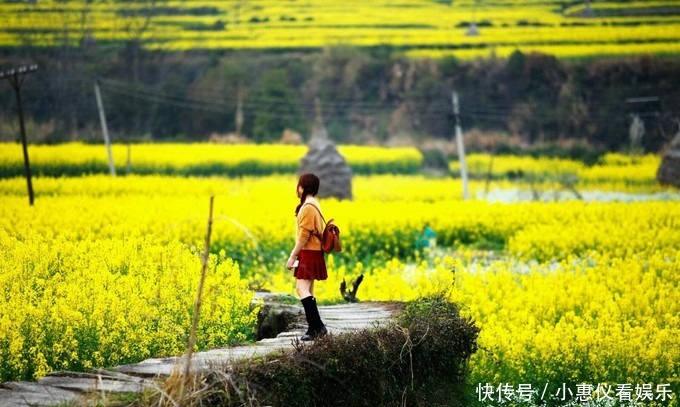 2021年婺源油菜花时间预告，万亩花海“精彩”待上线！