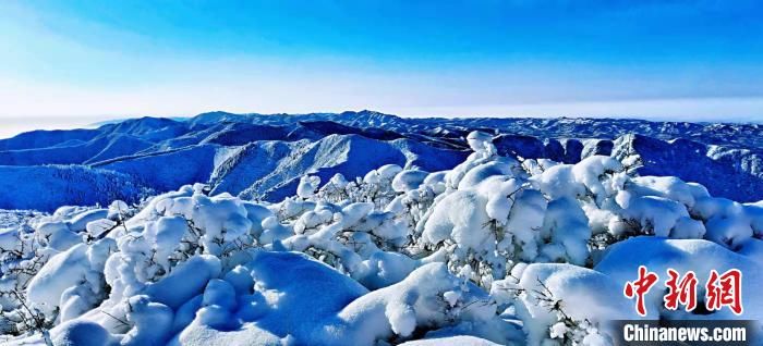 美景|春雪后的六盘山 美若山水画卷