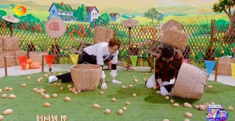 嘉宾们|播放量8.24亿！明星在舞台上“捡土豆”，丁程鑫自带题库