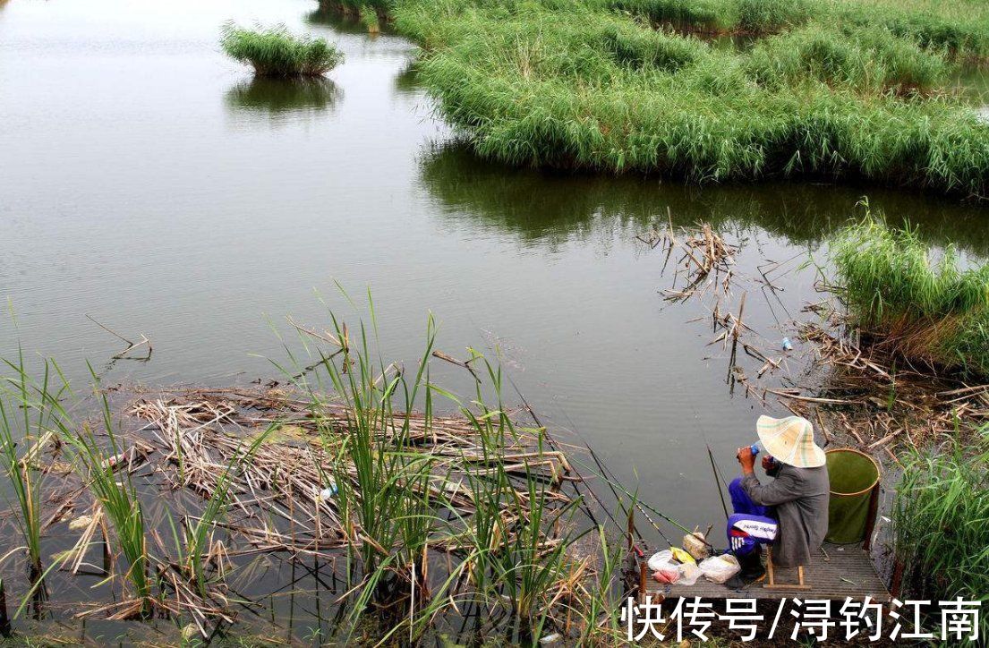 钓边|都说秋季要钓边，可“秋钓边”真正含义您未必知晓，这几点莫忽视