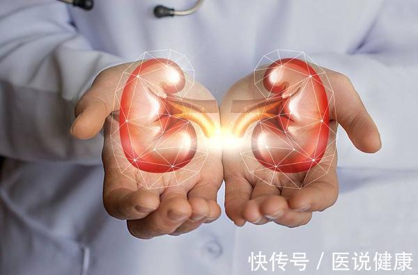 检查|身体频繁出现这3个异常时,需留心,或是肾脏出问题了,及时检查