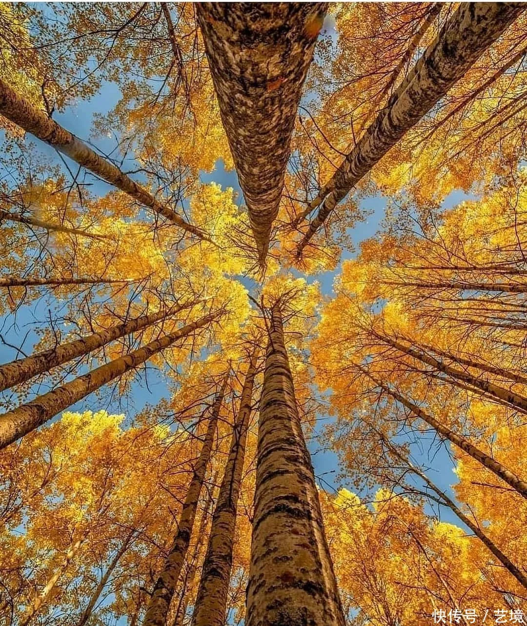 天下风物——《【心中若有好风景，何处不是花满径】诗韵咏合》风光题照