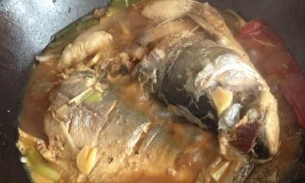 血脂|民间说“无鳞鱼勾旧病”，有道理吗？告诉你高血脂病人，如何吃鱼