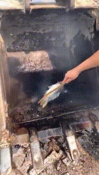 |搞笑GIF:姑娘当时就懵了 早知如此就不应该玩这个