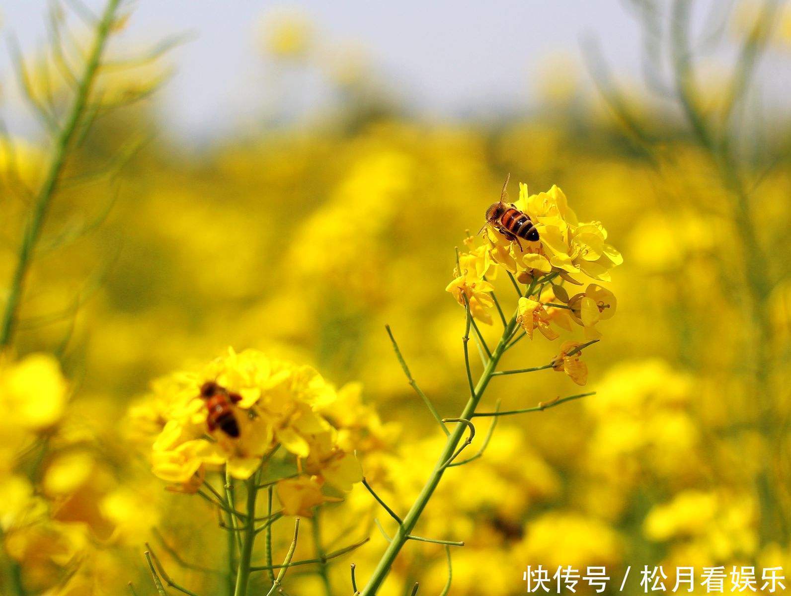 生肖男|一心一意爱老婆，晚年爱老婆到“骨子里”的三生肖男，只对老婆好