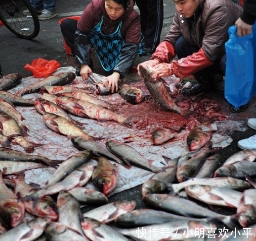 土腥味|鱼的“土腥味”和“柴油味”是哪来的?还能吃吗?今天一次说清楚