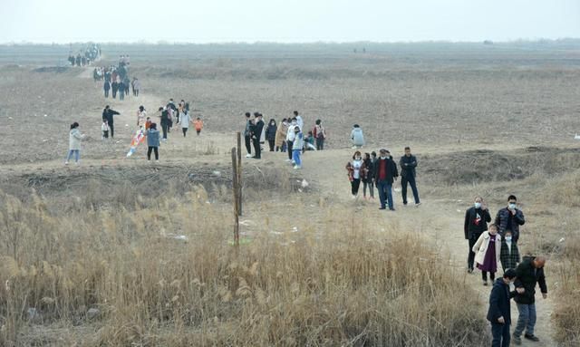 背面|黄河滩成春节游玩打卡地,每天数百人涌入,荒草地被踩成光滑路