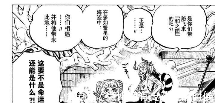 喬伊波伊|從海賊王1016話漫畫看看大和追求的自由和性取向