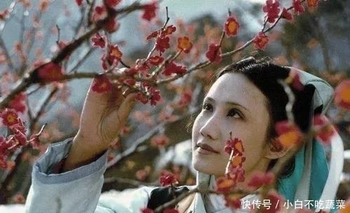 绿玉|妙玉用自己的杯子给贾宝玉斟茶，宝玉何不喝？他忌惮什么？